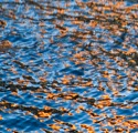 Reflections outside Gouda, Holland